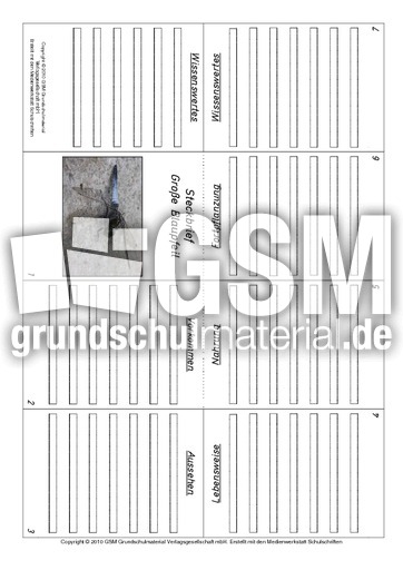 Faltbuch-Großer-Blaupfeil.pdf